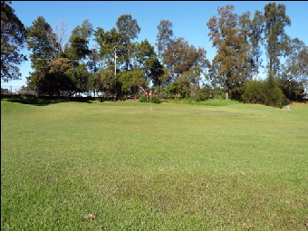 Hole 15