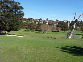 Hole 5